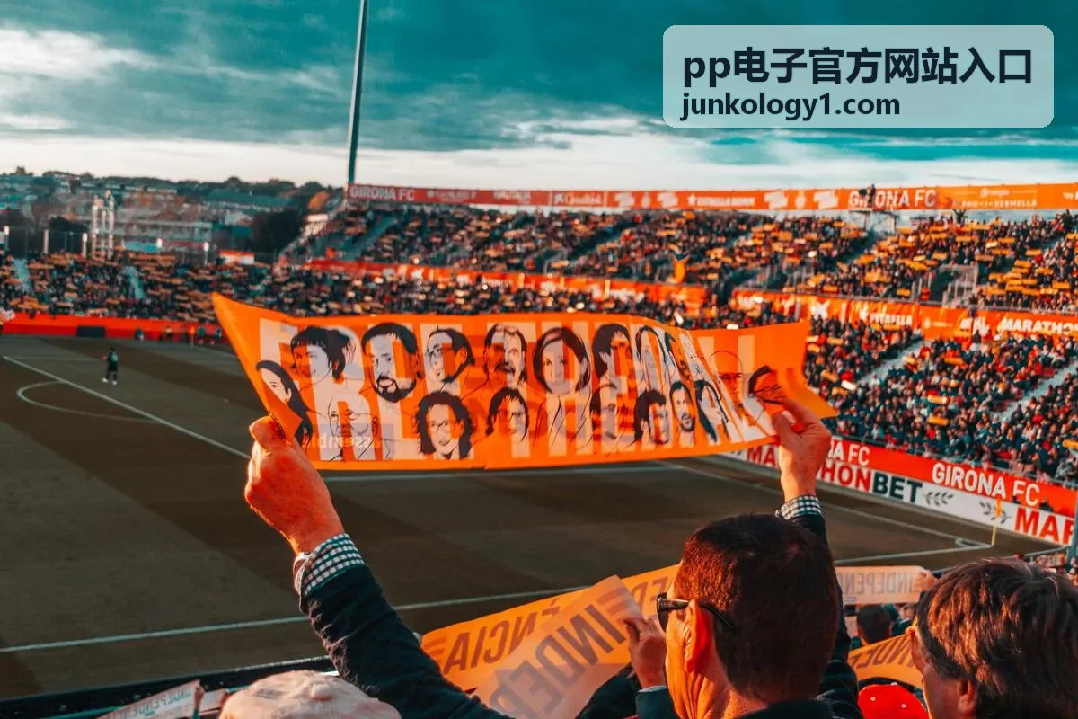 pp电子官方网站入口访问说明与环境检查