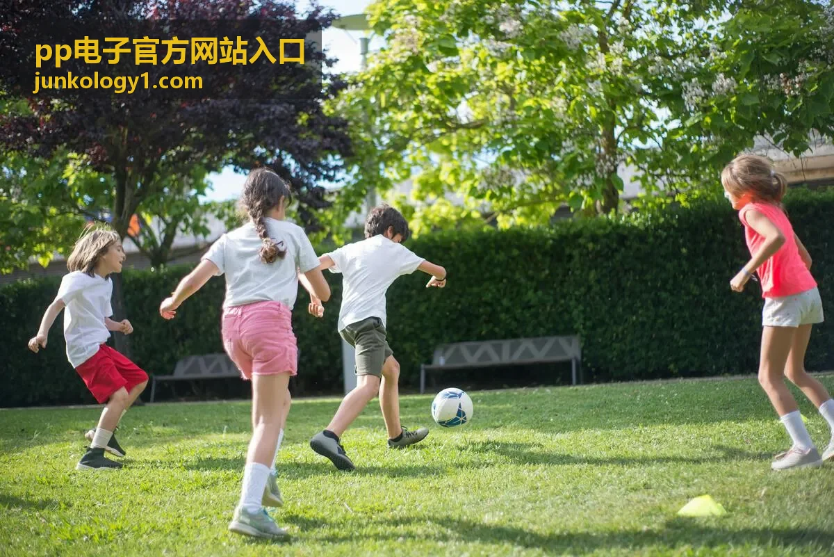 pp电子官方网站入口资讯缩略图